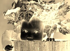Sepia + Negatyw