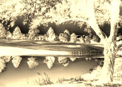 Sepia + Negatyw