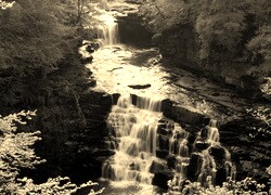 Sepia