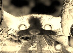 Sepia + Negatyw