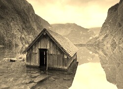 Szary + Sepia
