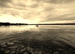 Szary + Sepia