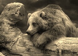 Sepia