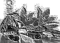 Skamielina