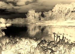 Sepia + Negatyw