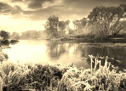 Sepia