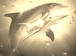 Szary + Sepia