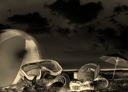Sepia + Negatyw