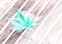 Negatyw