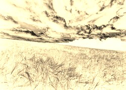 Sepia + Negatyw