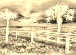 Sepia + Negatyw