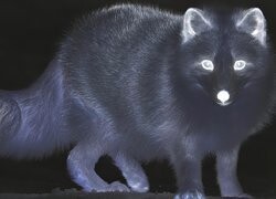 Negatyw