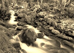 Sepia