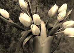 Szary + Sepia