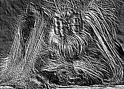 Skamielina