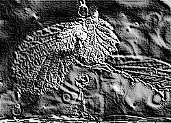 Skamielina