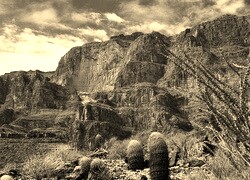 Sepia
