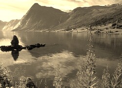 Szary + Sepia