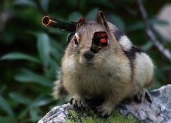 Oryginalny obrazek