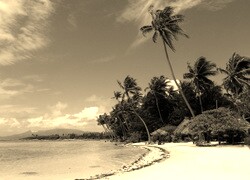Szary + Sepia