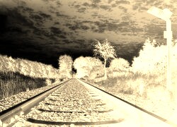 Sepia + Negatyw