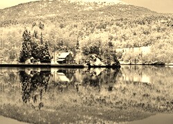 Szary + Sepia