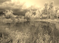Szary + Sepia