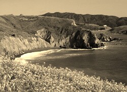 Sepia