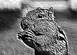 Skamielina