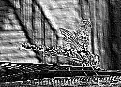 Skamielina