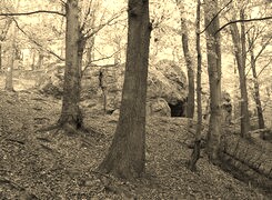 Szary + Sepia