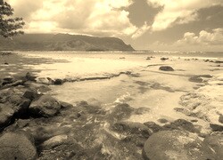 Sepia