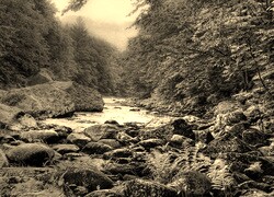 Sepia