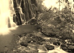 Szary + Sepia