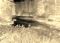 Sepia + Negatyw