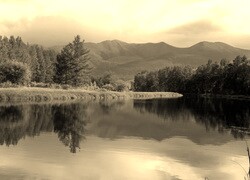 Sepia