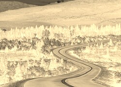 Sepia + Negatyw