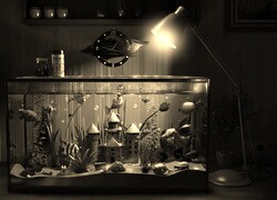 Sepia