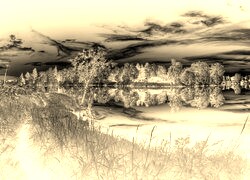 Sepia + Negatyw