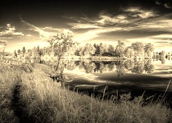 Szary + Sepia