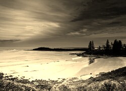 Sepia