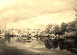 Sepia