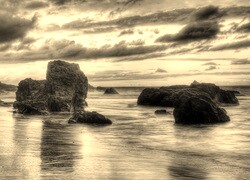 Szary + Sepia