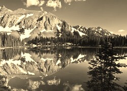 Sepia