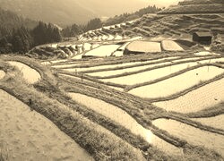 Szary + Sepia