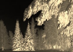 Sepia + Negatyw