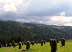 Oryginalny obrazek