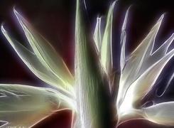 Oryginalny obrazek