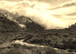 Sepia