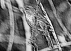 Skamielina